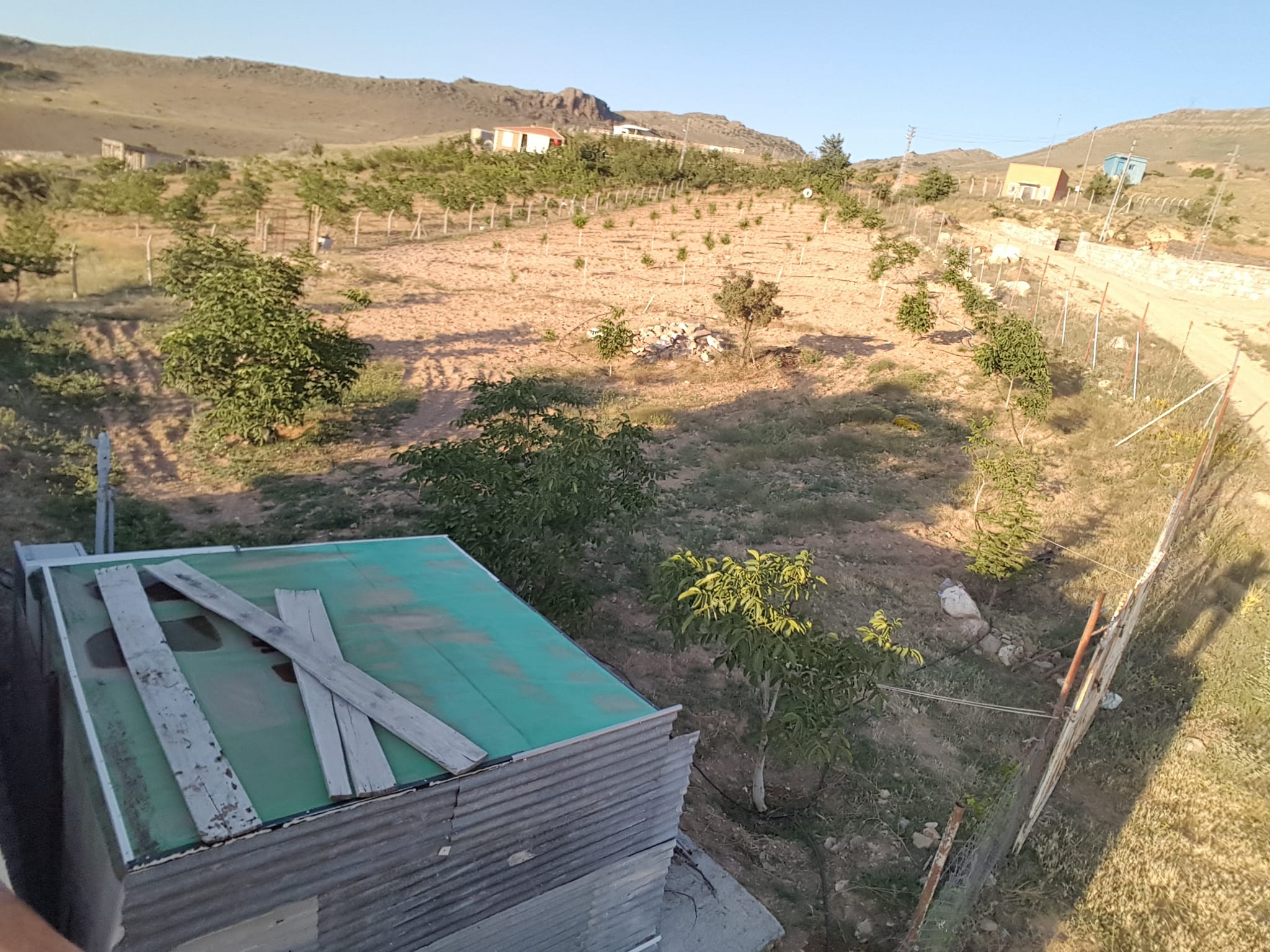 DEVELİ POLAT GAYRİMENKUL- TOMBAK ÇAPAYERİ MEVKİİNDE SATILIK 3 ADET İMARLI ARSA