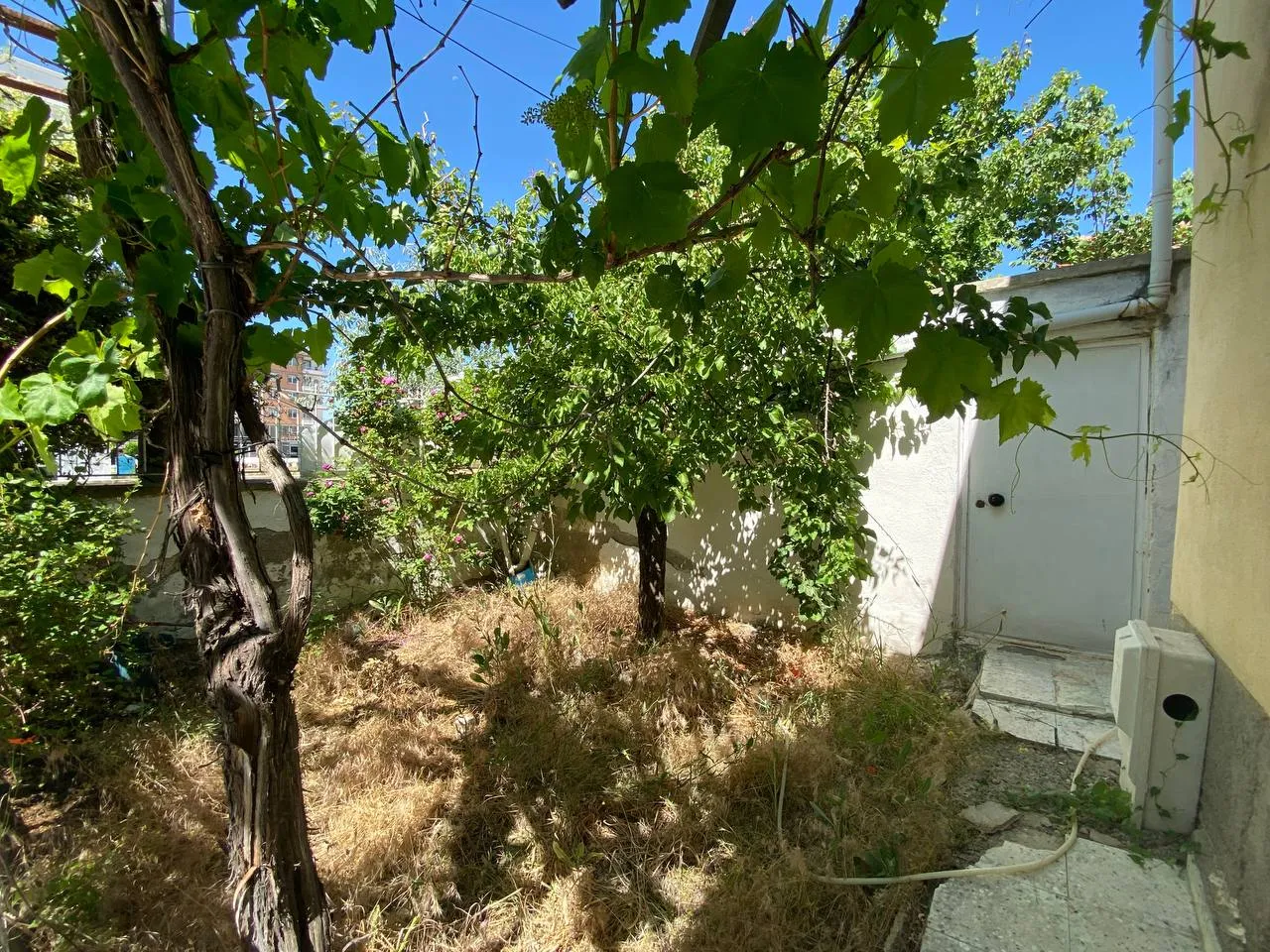 DEVELİ POLAT GAYRİMENKUL-AŞIK SEYRANİ MAH. .335 M2 ARSA İÇERİSİNDE SATILIK MÜSTAKİL EV