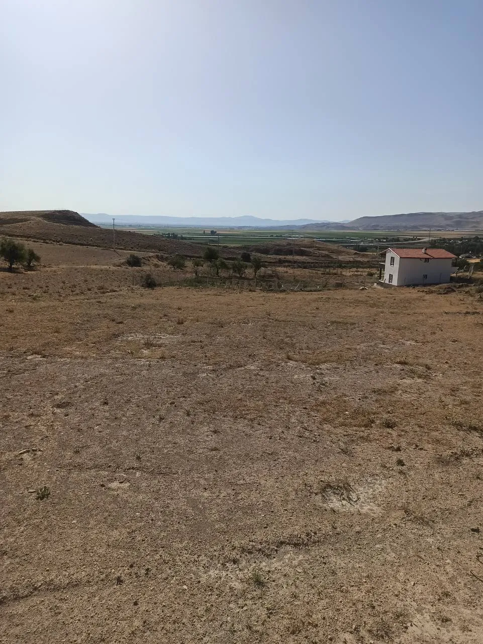 DEVELİ POLAT GAYRİMENKUL-GÜNEYAŞAĞI MAH. ÇOBANBAĞI MEVKİİ SATILIK 2 PARÇA BAĞ