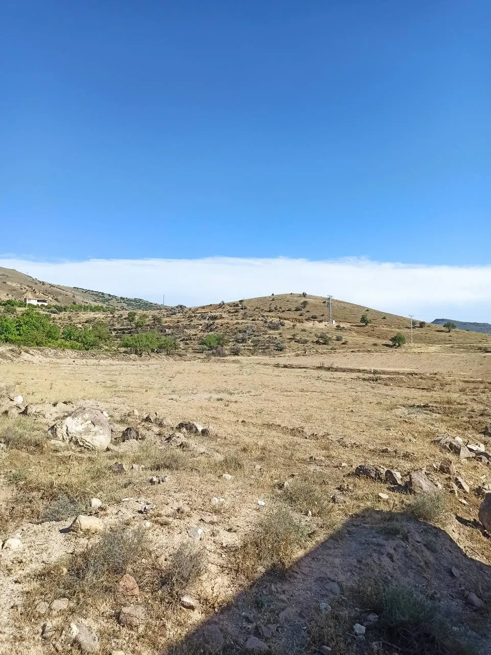 DEVELİ POLAT GAYRİMENKUL-GÜNEYAŞAĞI MAH. ÇOBANBAĞI MEVKİİ SATILIK 2 PARÇA BAĞ