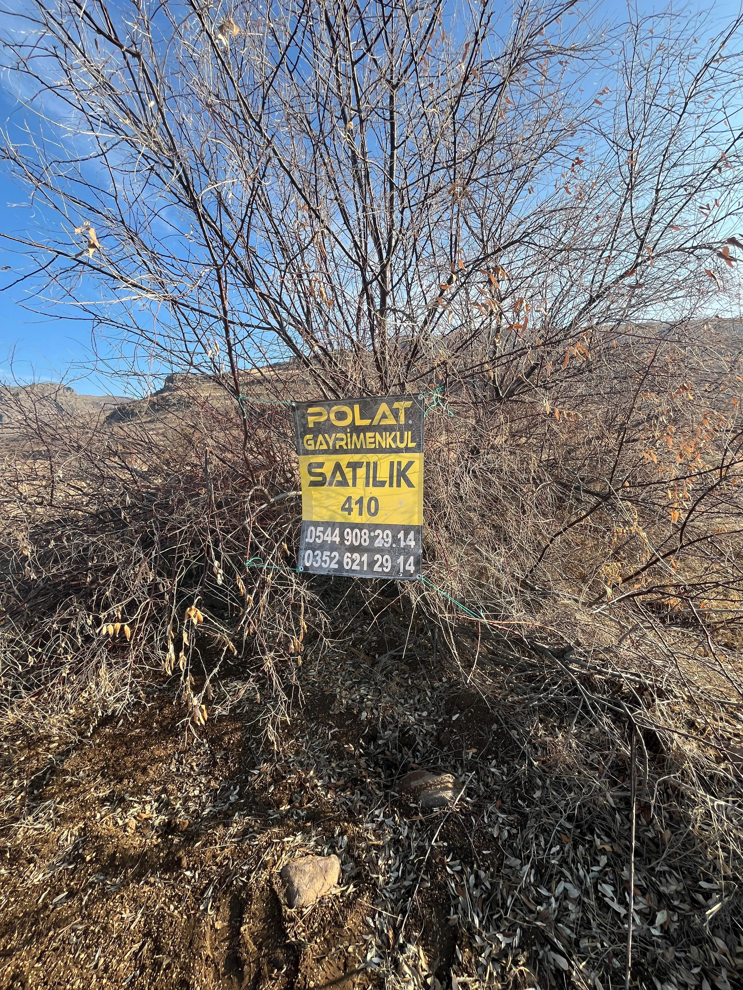 DEVELİ POLAT GAYRİMENKUL-SARICA DA HARİKA KONUMDA KÖŞE BAŞI FIRSAT BAHÇE