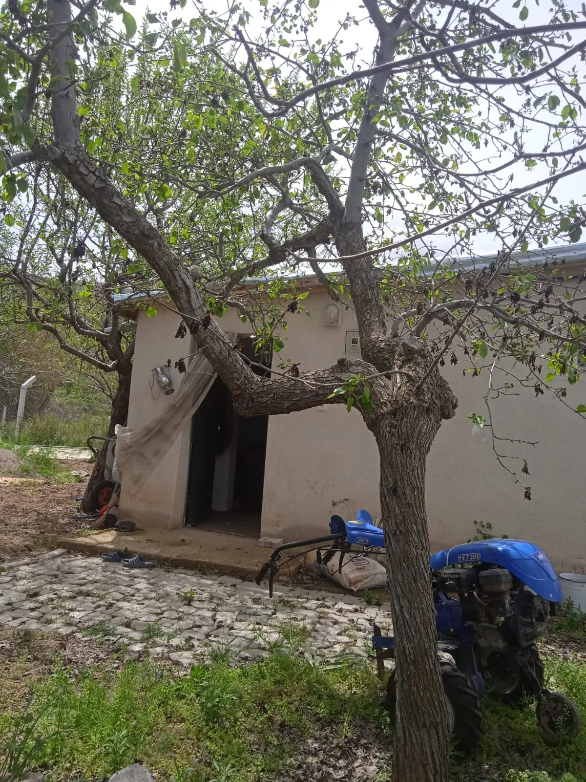 DEVELİ POLAT GAYRİMENKUL-YEDEK MAH. SONA MEVKİİNDE SATILIK HOBİ BAHÇESİ