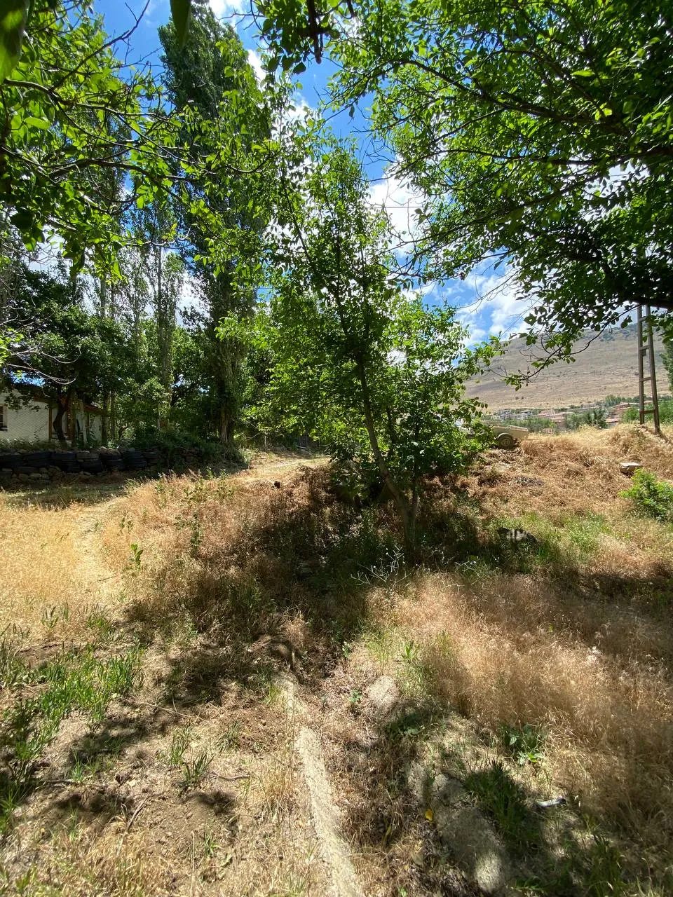 DEVELİ POLAT GAYRİMENKUL- ZİLE MAH. ÇAYBAĞLARI MEVKİİNDE 1880 M2 SATILIK HOBİ BAHÇESİ