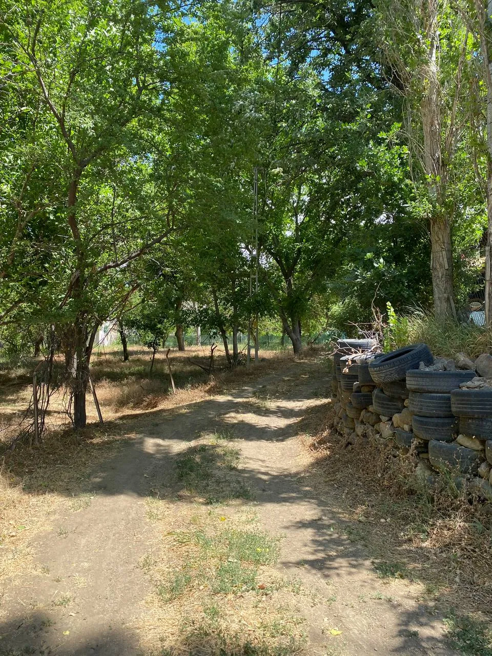 DEVELİ POLAT GAYRİMENKUL- ZİLE MAH. ÇAYBAĞLARI MEVKİİNDE 1880 M2 SATILIK HOBİ BAHÇESİ