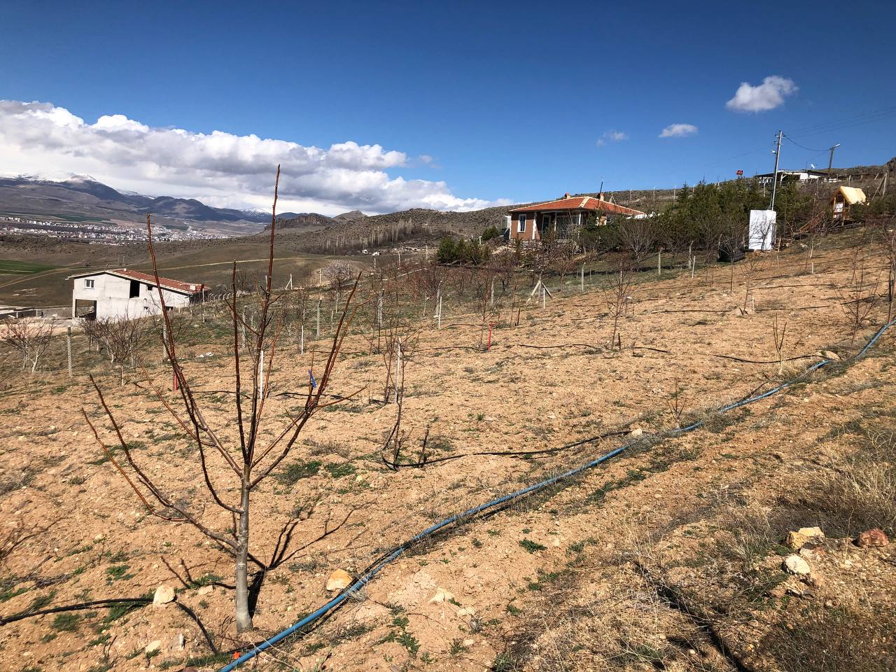 DEVELİ POLAT GAYRİMENKUL- TOMBAK ÇAPAYERİ MEVKİİNDE SATILIK 3 ADET İMARLI ARSA